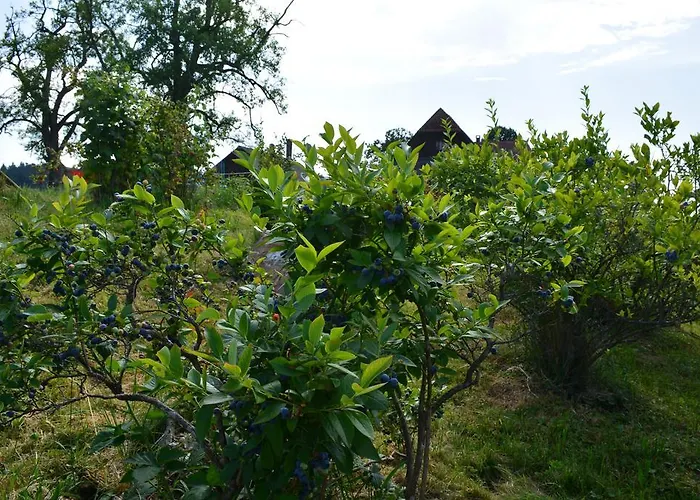 Gæstehus Wellness-kneipp-park 3*