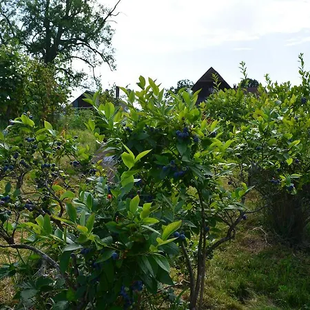 Pensionat Wellness-kneipp-park 3*